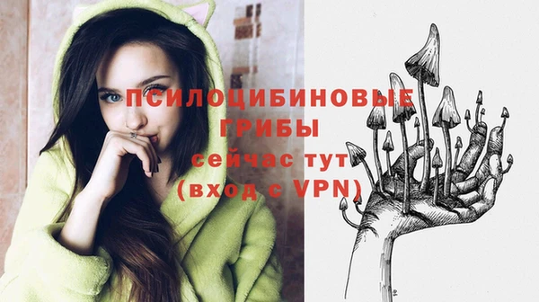 мескалин Богданович