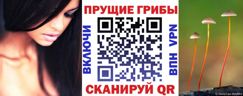 OMG ONION  Онега  Галлюциногенные грибы GOLDEN TEACHER  где продают наркотики 